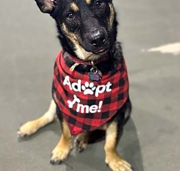 Photo of Sammy