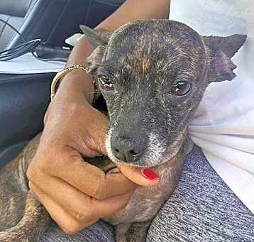 Photo of Mable (TX)