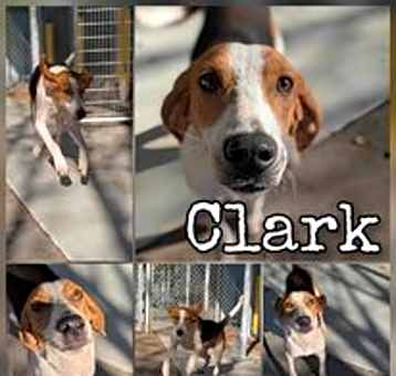 Photo of Clark
