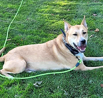 Photo of Tank