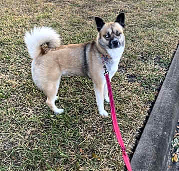 Photo of Xena