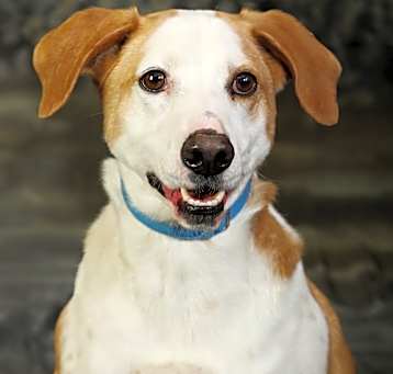Photo of Leroy