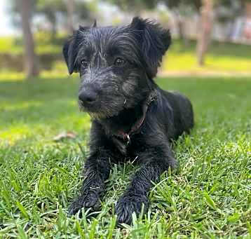 Photo of Bella
