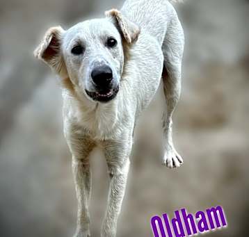 Photo of Oldham