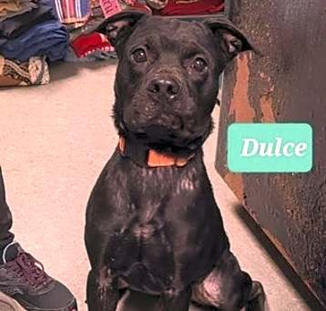 Photo of Dulce