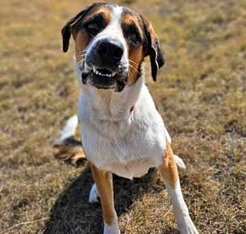 Photo of Max