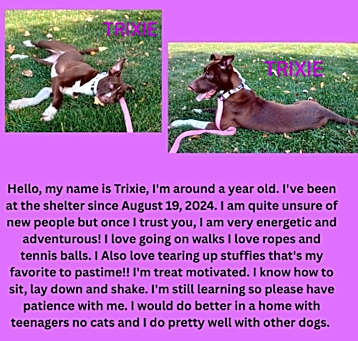 Photo of Trixie