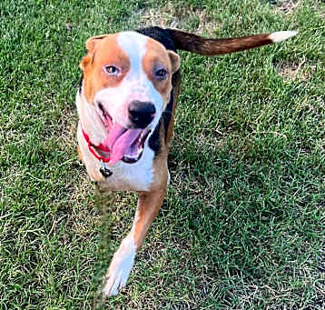 Photo of Molly