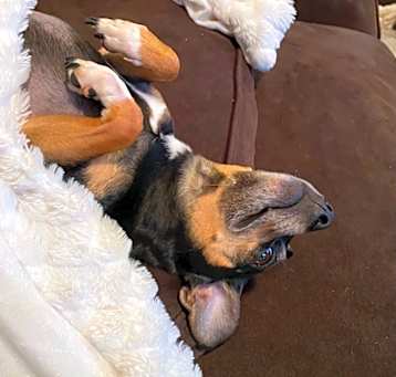 Photo of Murphy