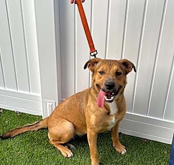 Photo of Clyde