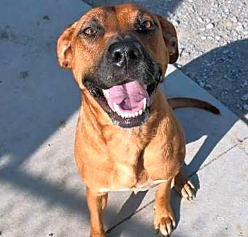 Photo of Nala