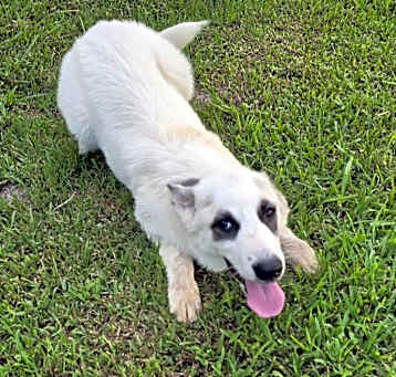 Photo of Aspen