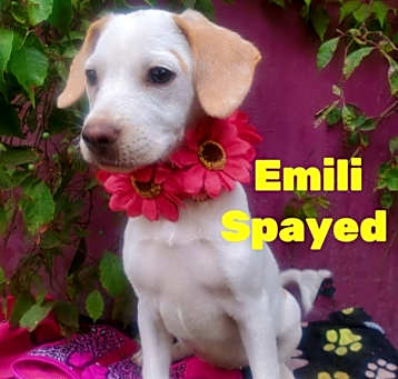 Photo of Emili