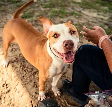 Photo of Rosco