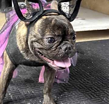 Photo of Coco