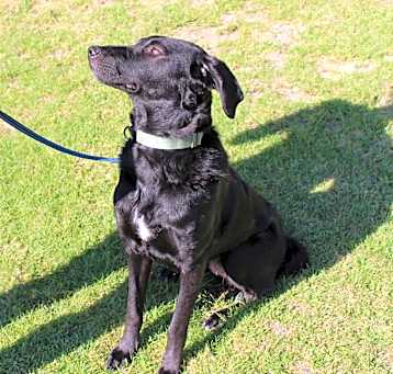 Photo of Pretty girl coco