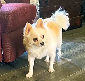 Photo of Sugar