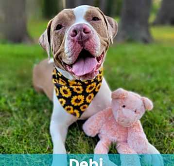 Photo of Debi