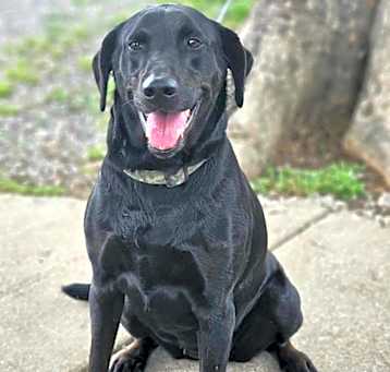 Photo of Nellie