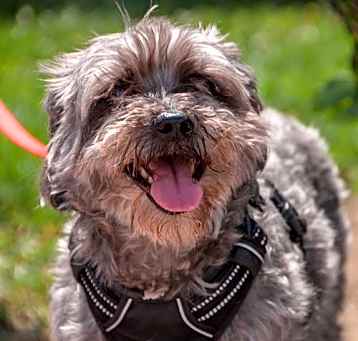 Photo of Wally