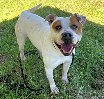 Photo of Bingo