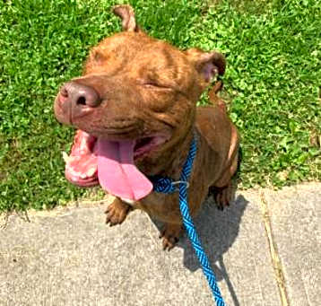 Photo of Ruby
