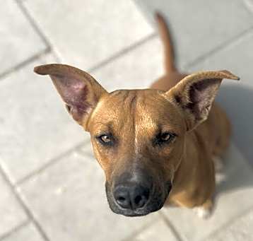 Photo of Cindy
