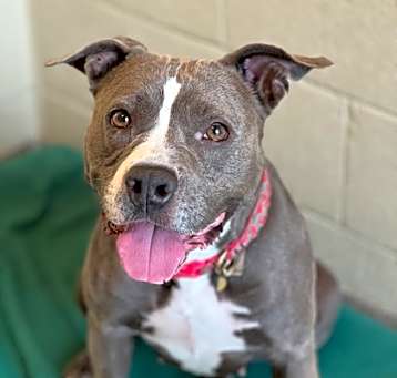Photo of Miss Sissy (in Foster)