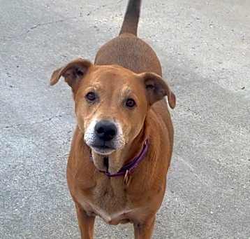 Photo of Loki - PLEASE READ MY BIO