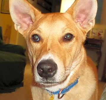 Photo of Kip