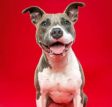 Photo of Shena