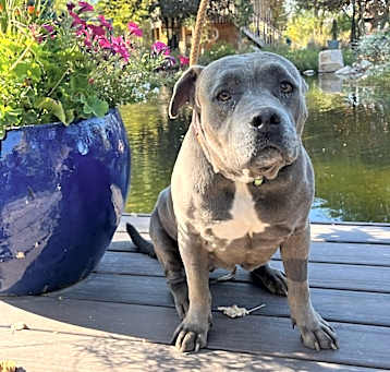 Photo of Tessa