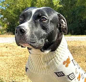 Photo of Stryker