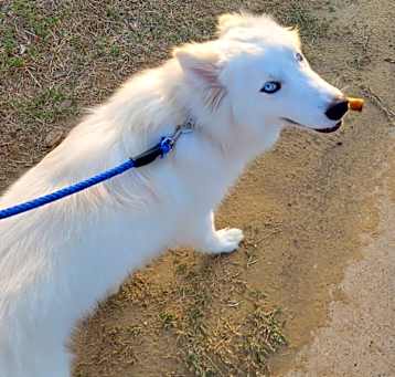 Photo of Blue Sky