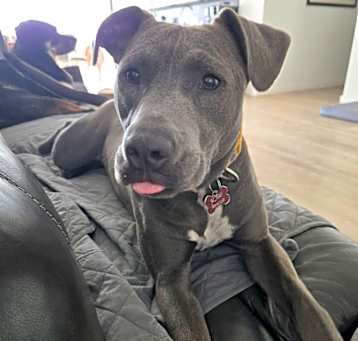 Photo of Graycee