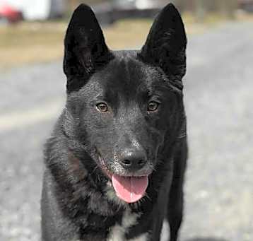 Photo of MILTON
