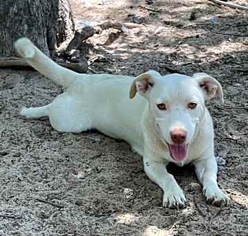 Photo of Misty