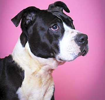 Photo of Zoey