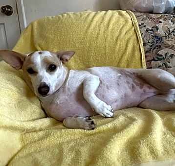 Photo of Izzy