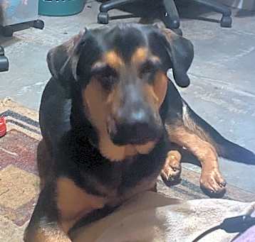 Photo of Rosko