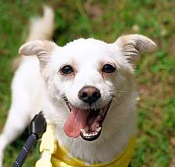 Photo of Bori (D)