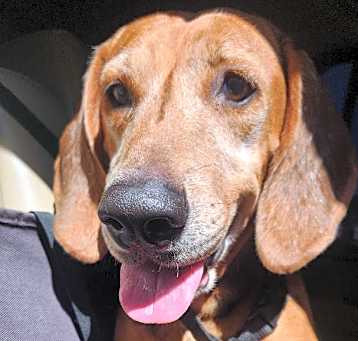 Photo of Matilda