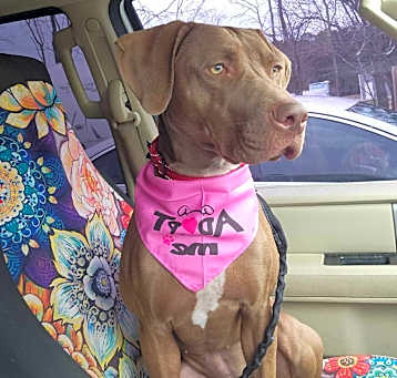Photo of Jolene