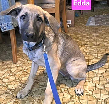 Photo of Edda
