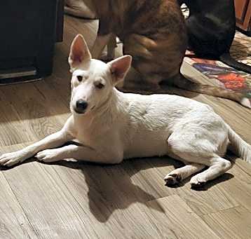 Photo of Chloe aka Cleo