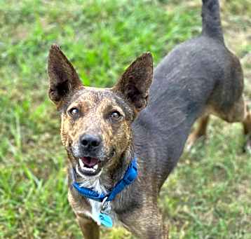 Photo of Brody