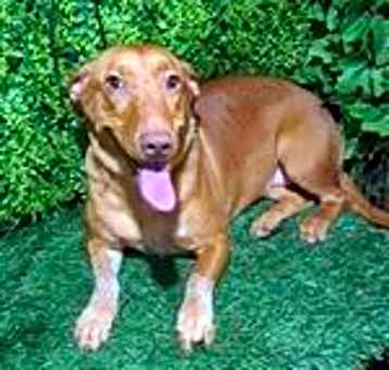 Photo of Holly