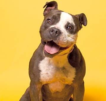Photo of Cora