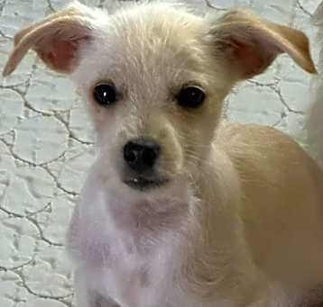 Photo of Pocket