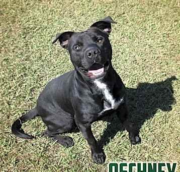 Photo of Oschney